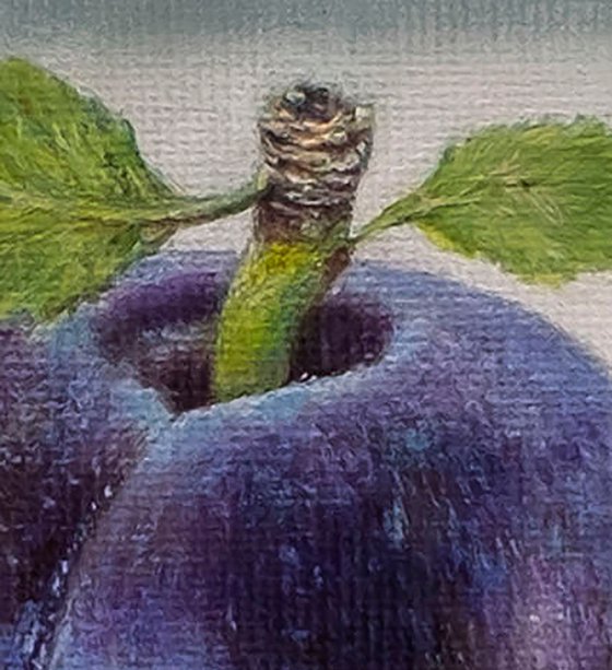 Plum Portrait
