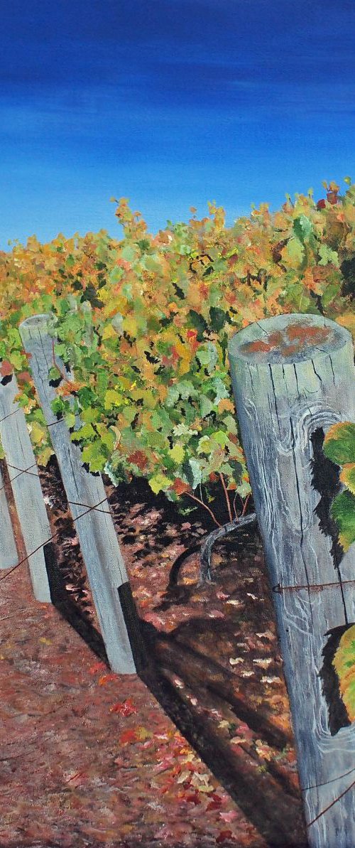 Sonoma Vineyard 2 by Steven Fleit