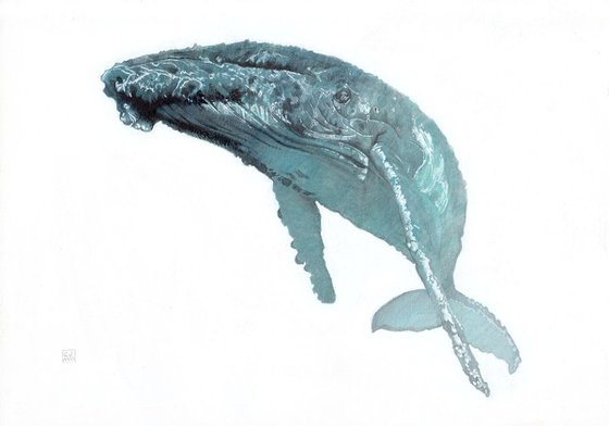 Humpback Whale 01 - SOLD