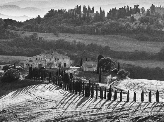 Rolling Hills of Tuscany