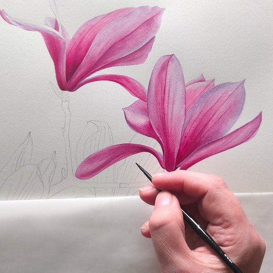 Magnolia. Right