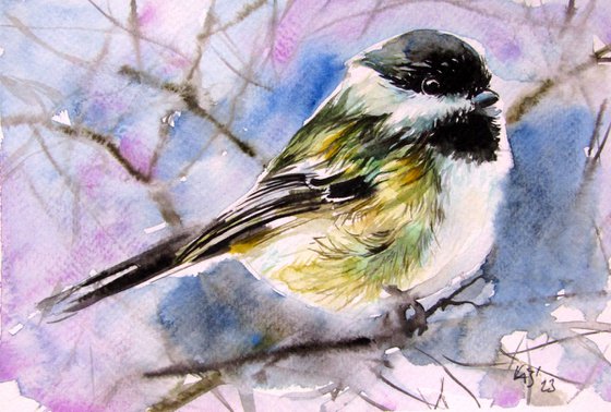 Great tit