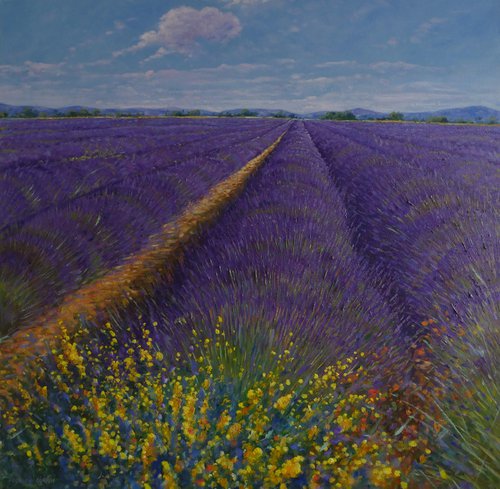 Provence by Claudio Ciardi