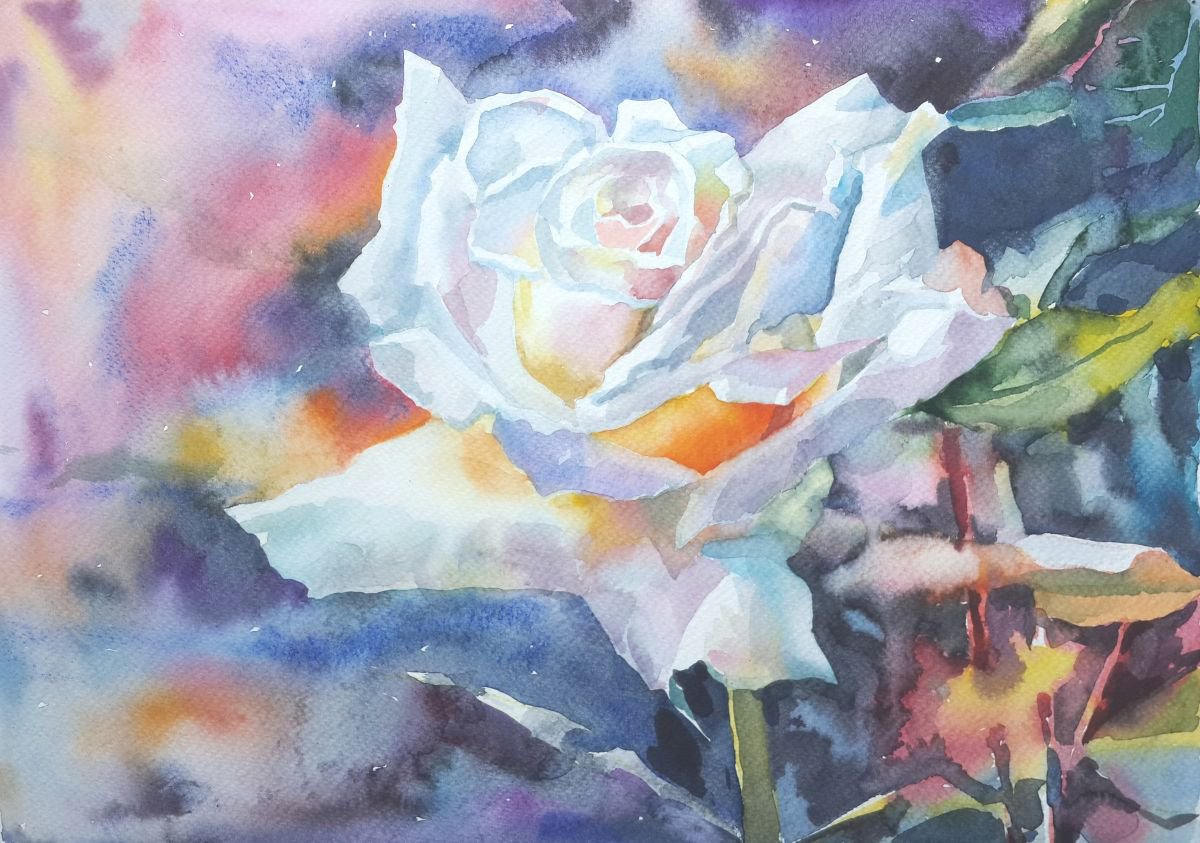 Rose#3 by Yuryy Pashkov
