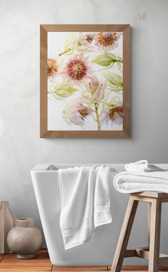 Blushing Bride Flowers