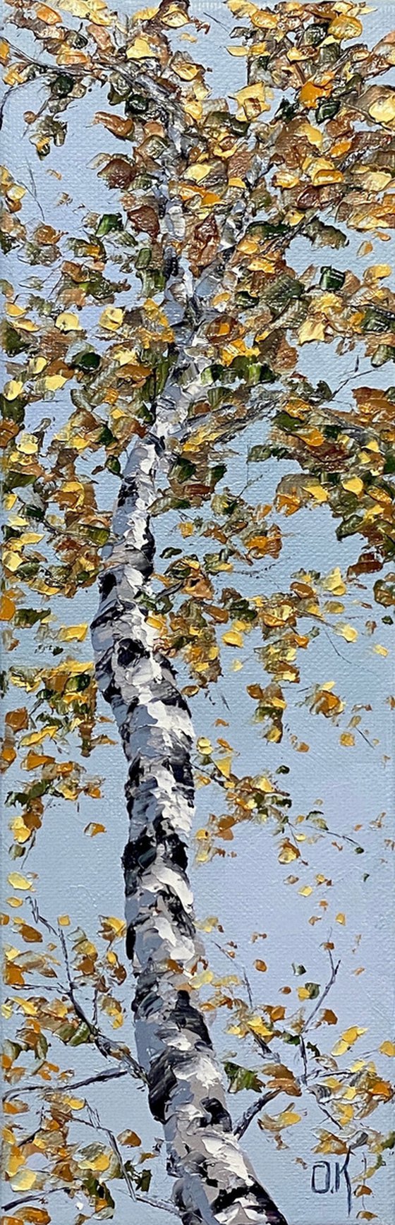 Birch in the sky