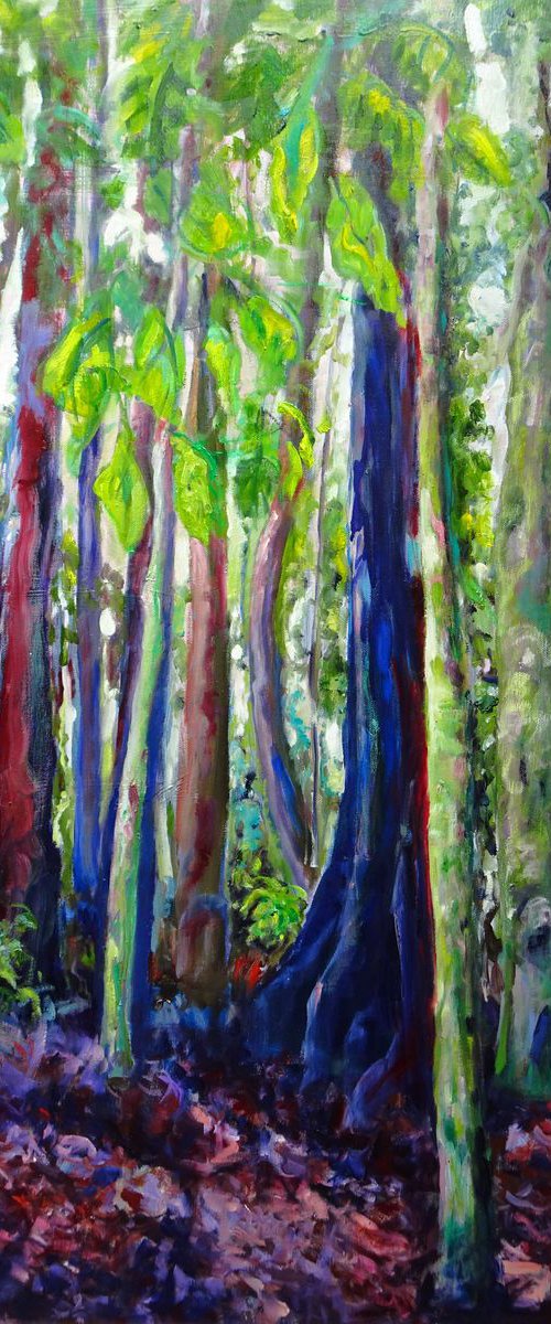 Dorrigo National Park - Rain Forest by Maureen Finck
