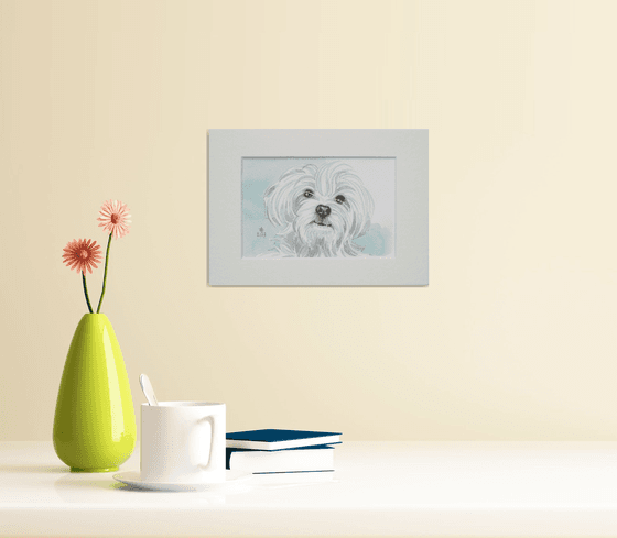 Maltese dog * free shipping *