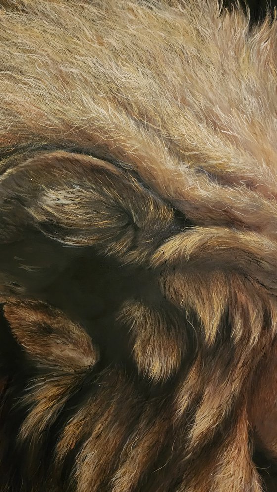 Fallen On Deaf Ears