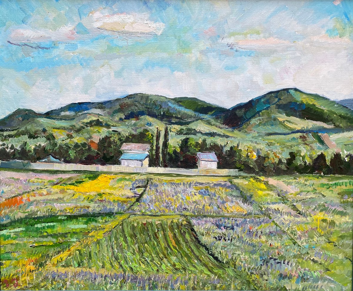 Lavender Fields of Bazaleti in June Georgian Countryside by Zurab Sharvadze