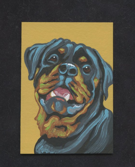 ACEO ATC Original Miniature Painting Colorful Rottweiler Pet Dog Art-Carla Smale