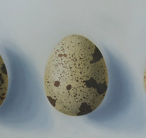 Three Quail Eggs by Catherine Henchie