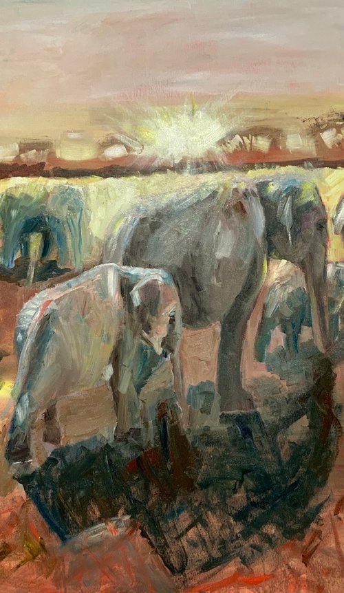 Elephants At Dusk by Ryan  Louder