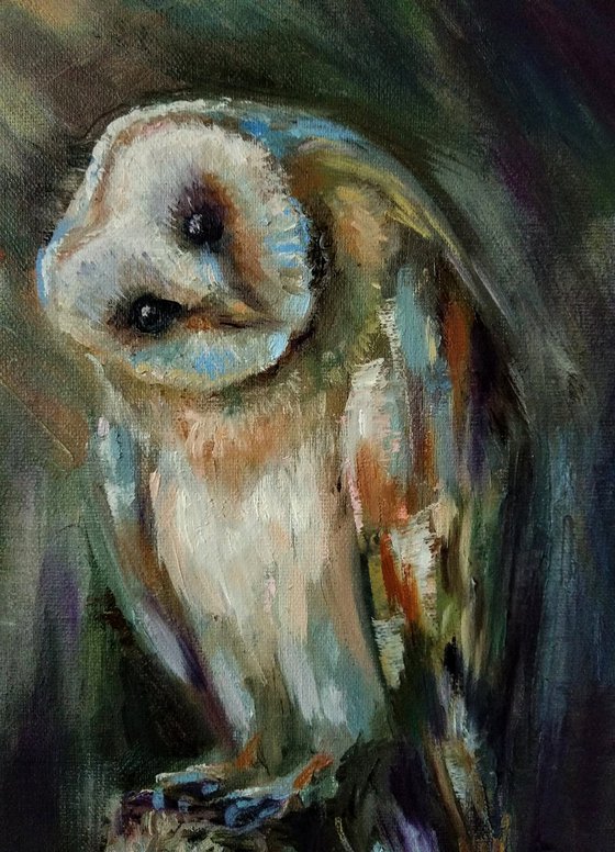 Birds Painting Curious Barn Owl on the Tree Nature Art