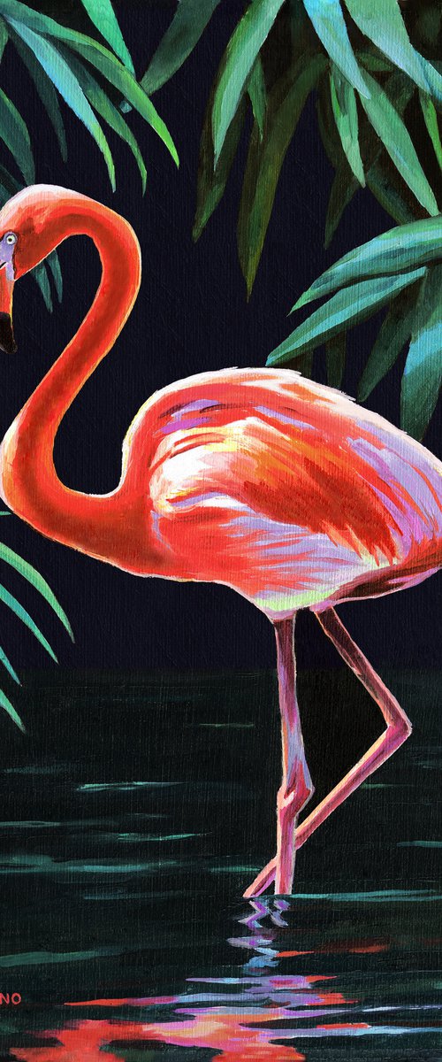 'Caribbean pink' by Lucia Verdejo
