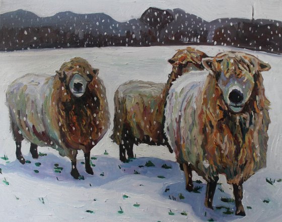 Sheep in the Snow