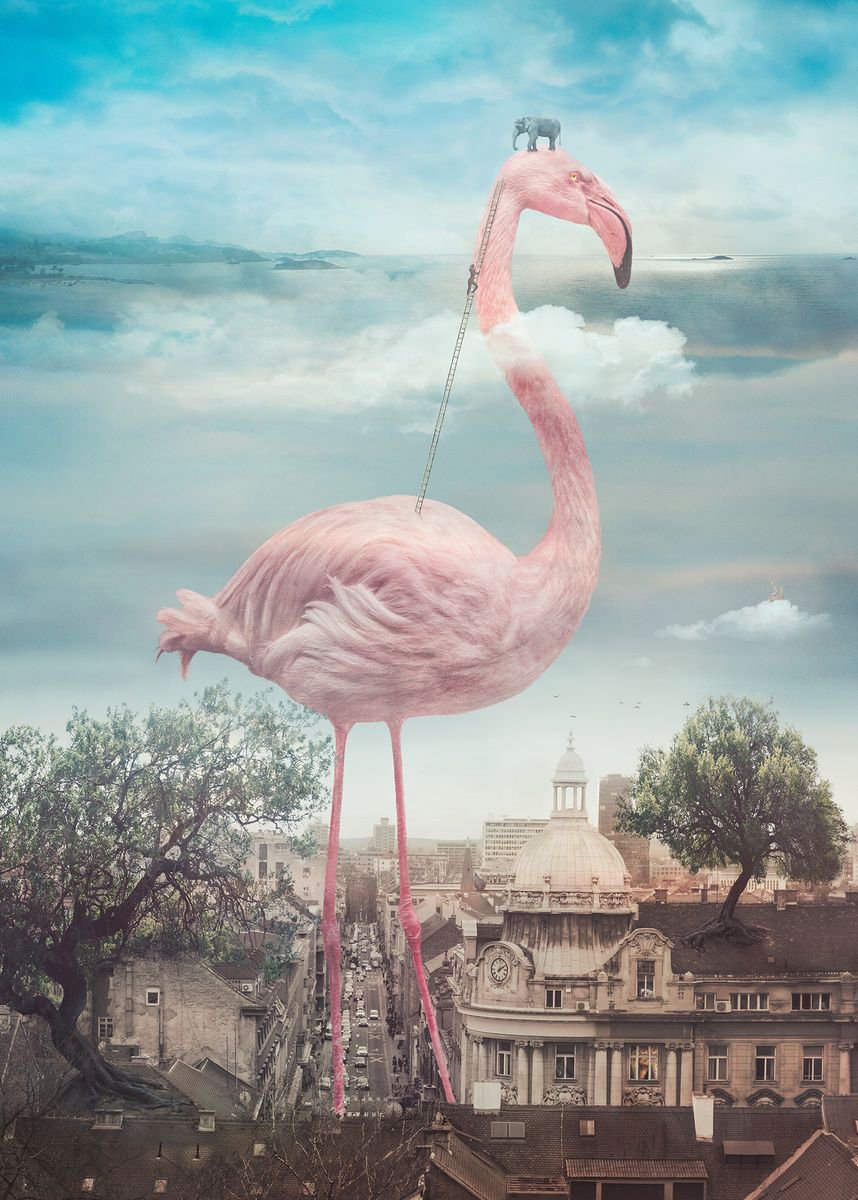 Surrealistic Cityscapes Photograph By Nikolina Petolas, 20 X 27", What Else Is Out There?, Original Artwork
