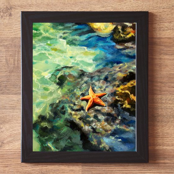 Starfish on rocky shore at summer