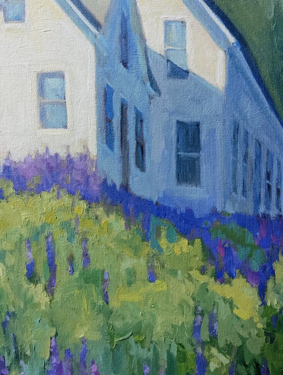 June Morning with Lupines