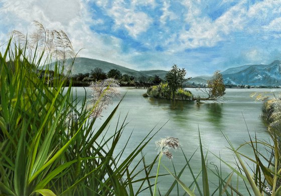 Whispers of the Sebino Wetlands