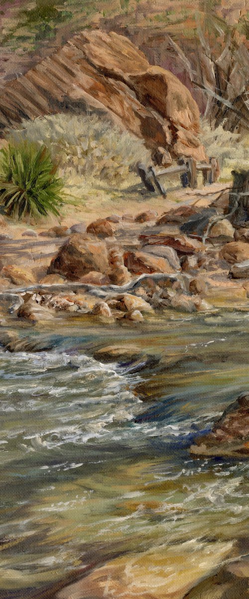 Virgin River in Zion Canyon by Steph Moraca