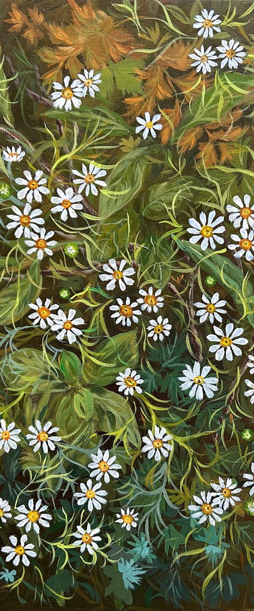 Daisies of the Forest by Gabriele Prismantaite