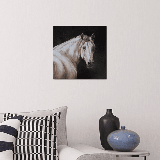 Horse portrait in monochrome