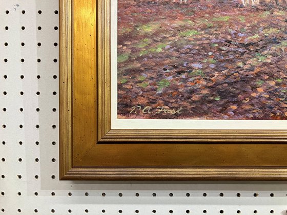 Ridley Wood Beech and Pigs