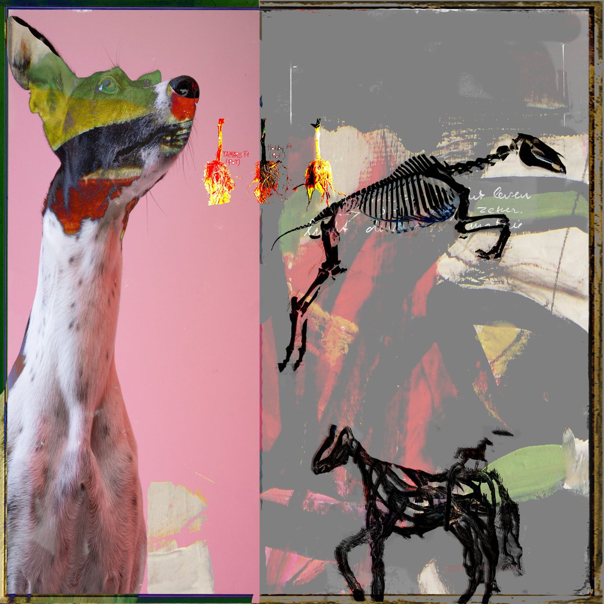 Field of honor for disappeared species Opus III by Geert Lemmers FPA