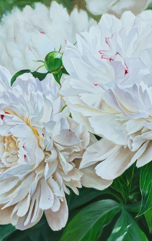 Peonies by Eduard Zhaldak
