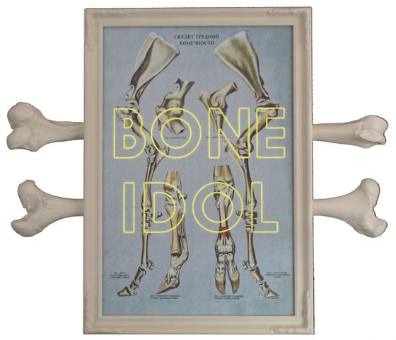 Bone Idol