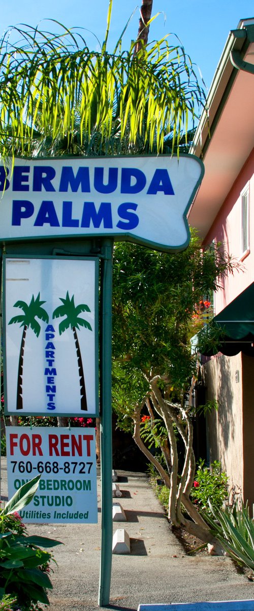BEYOND THE BERMUDA PALMS Palm Springs CA by William Dey