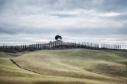 Tuscan hill with a cypresses row by Karim Carella
