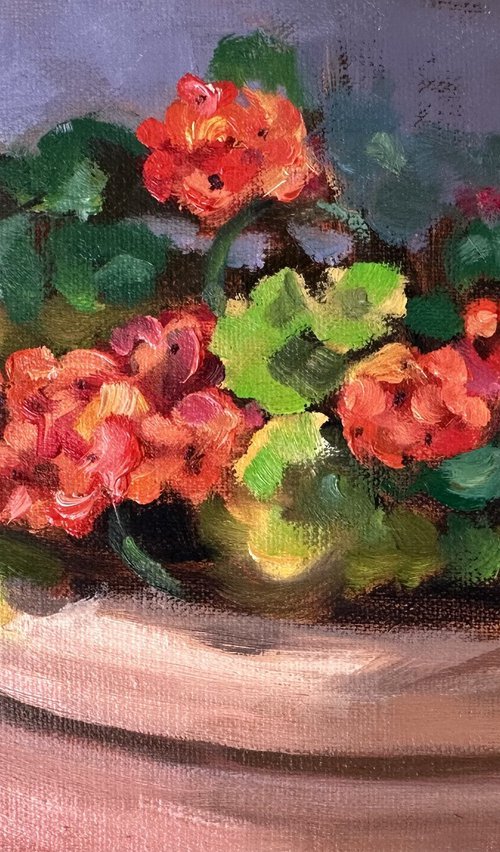 Potted Geraniums by Grace Diehl