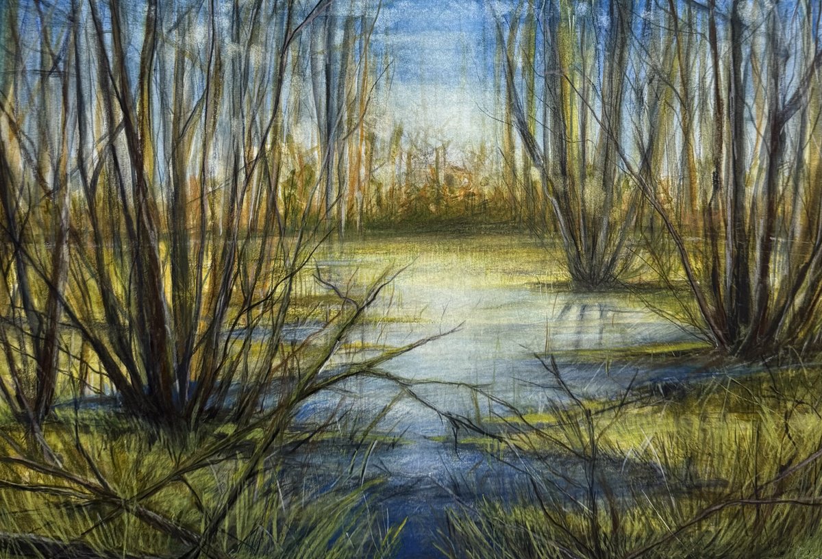 Impressionistic Landscape Painting By Daiva Karaliute, 14 X 9, Swamp In Anyks?iai (Lithuania), Original Artwork