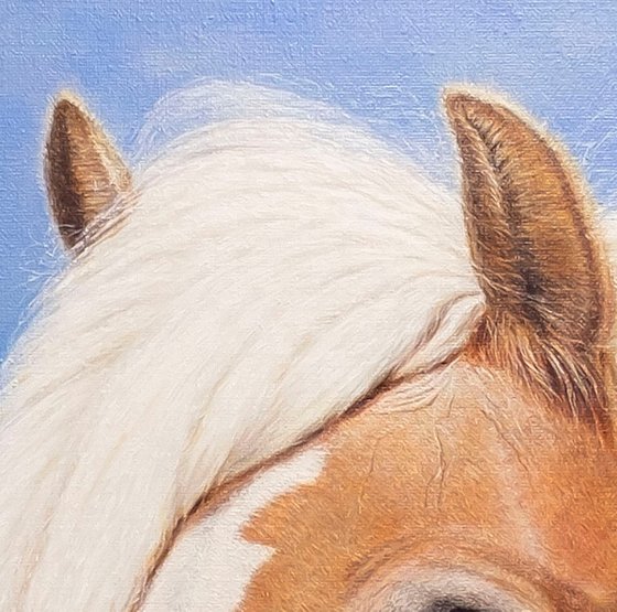 Helia, Serene Soul,Hors.