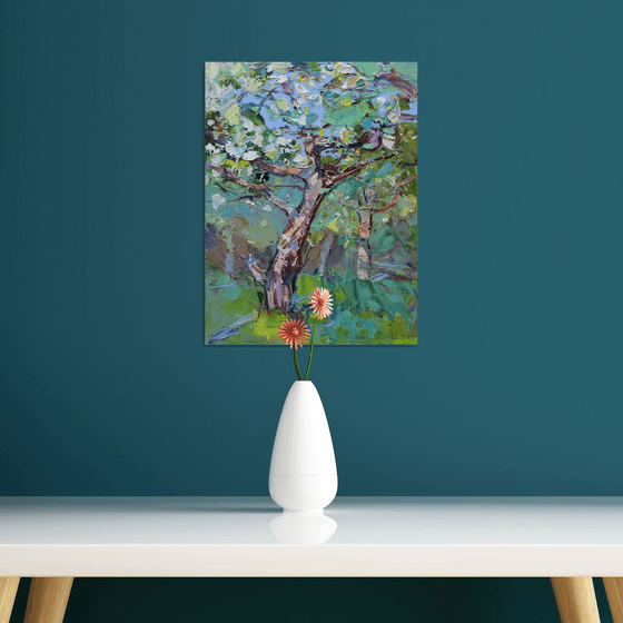 Apple tree blossom