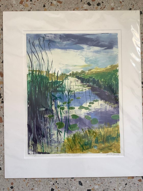 Water lilies and grasses