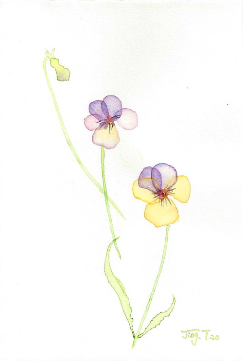 Soft petals#14 by Jing Tian
