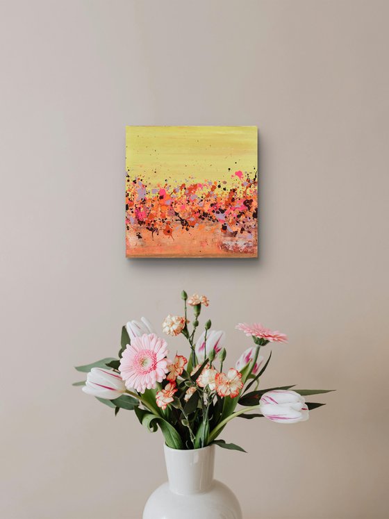 Sunkist Coral 3