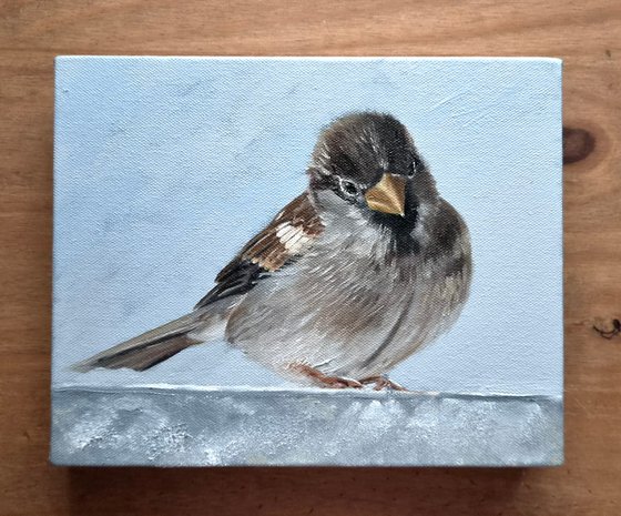 Little Sparrow