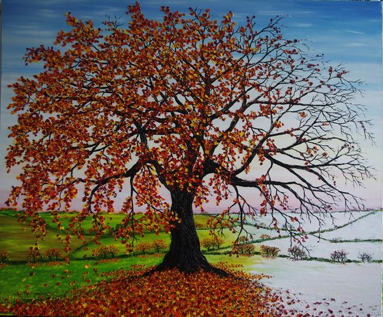 Oak tree in Autumn and Winter