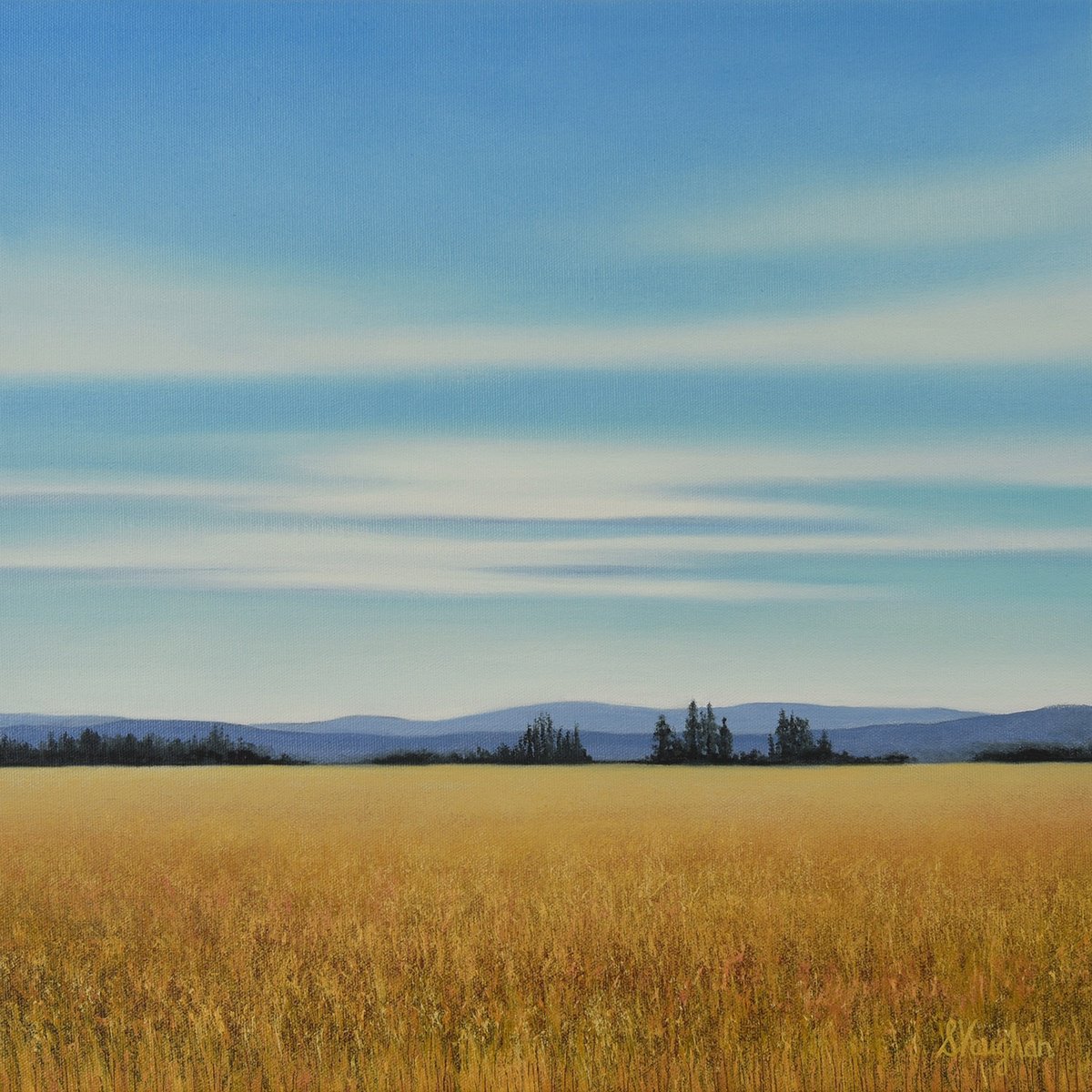 Impressionistic Landscape Oil Painting By Suzanne Vaughan, 16 X 16", Gold Wheat - Blue Sky, Original Artwork