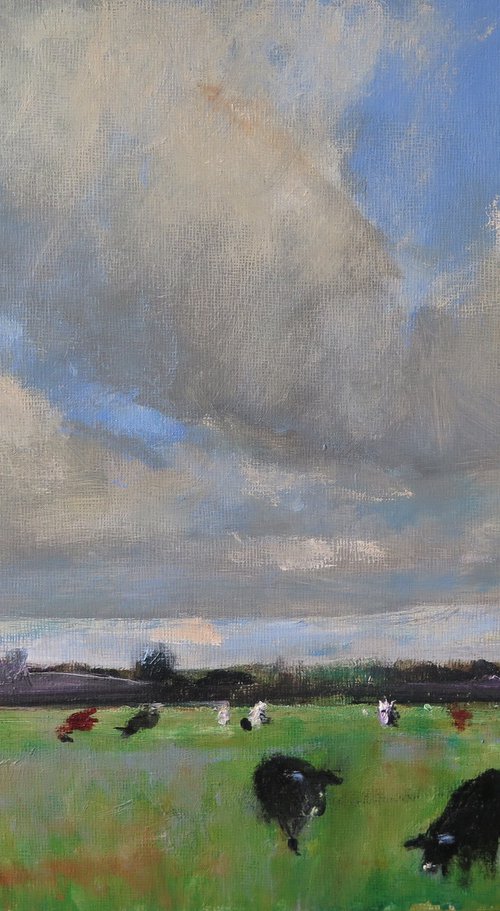 Tilmire Common by Malcolm Ludvigsen