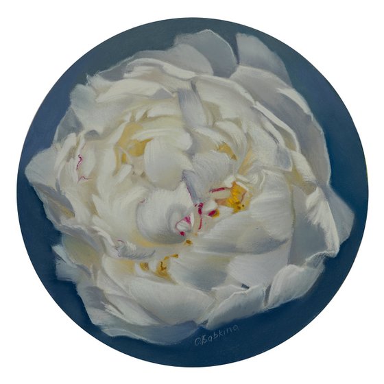 Petals in Bloom