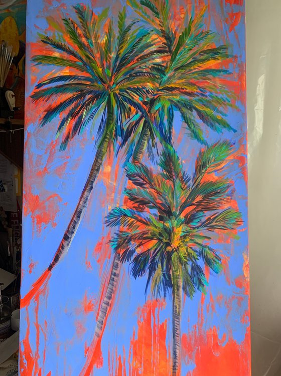 Palms tree