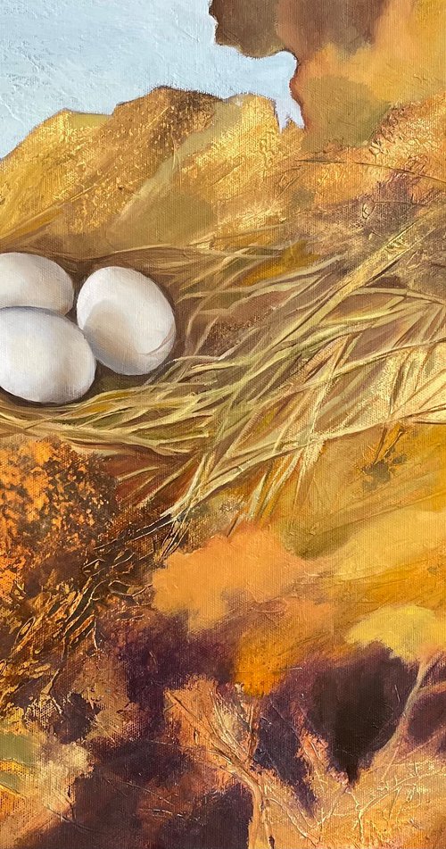 Nest by Katsiaryna Ozdemir