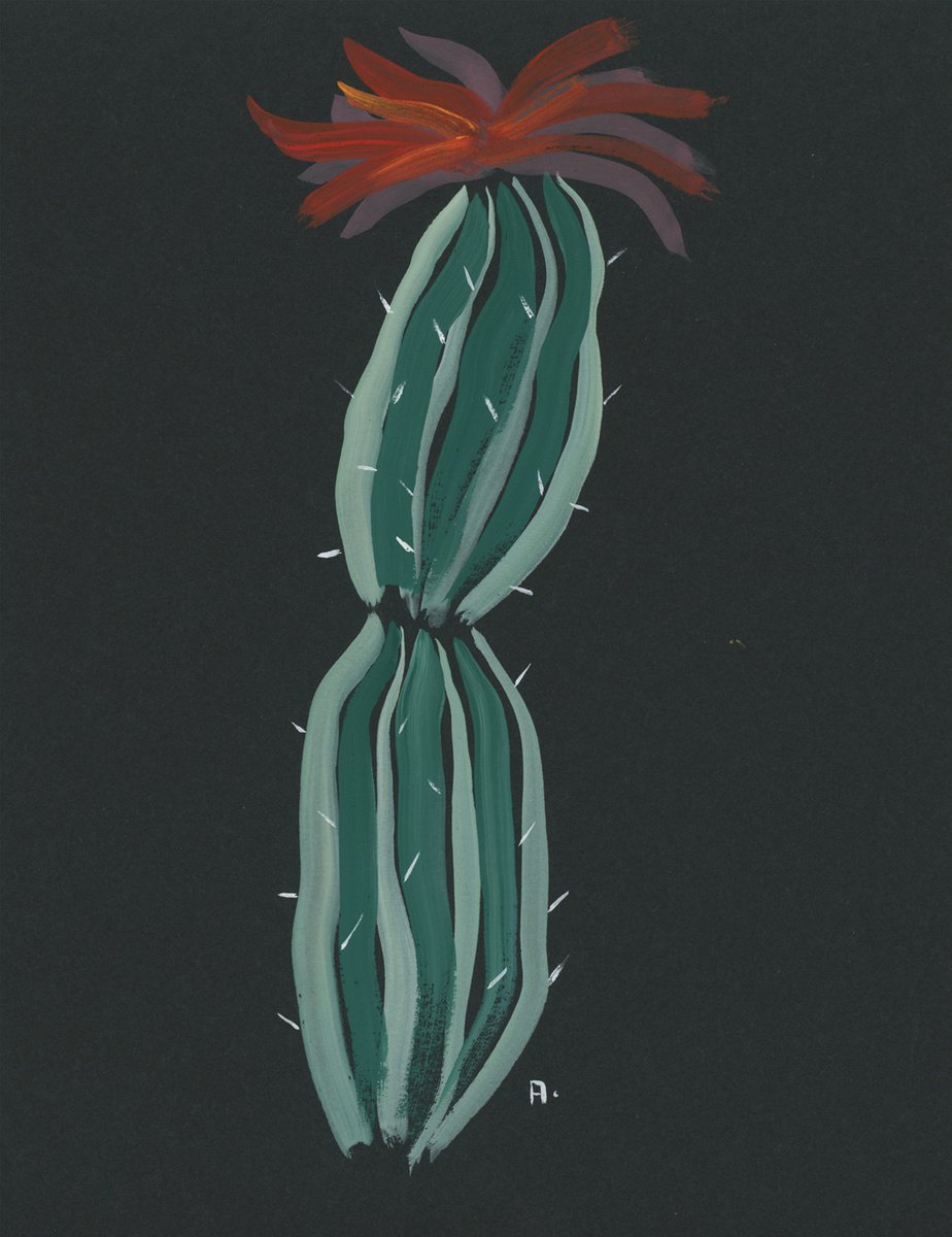 Blossoming Cactus by Anton Maliar