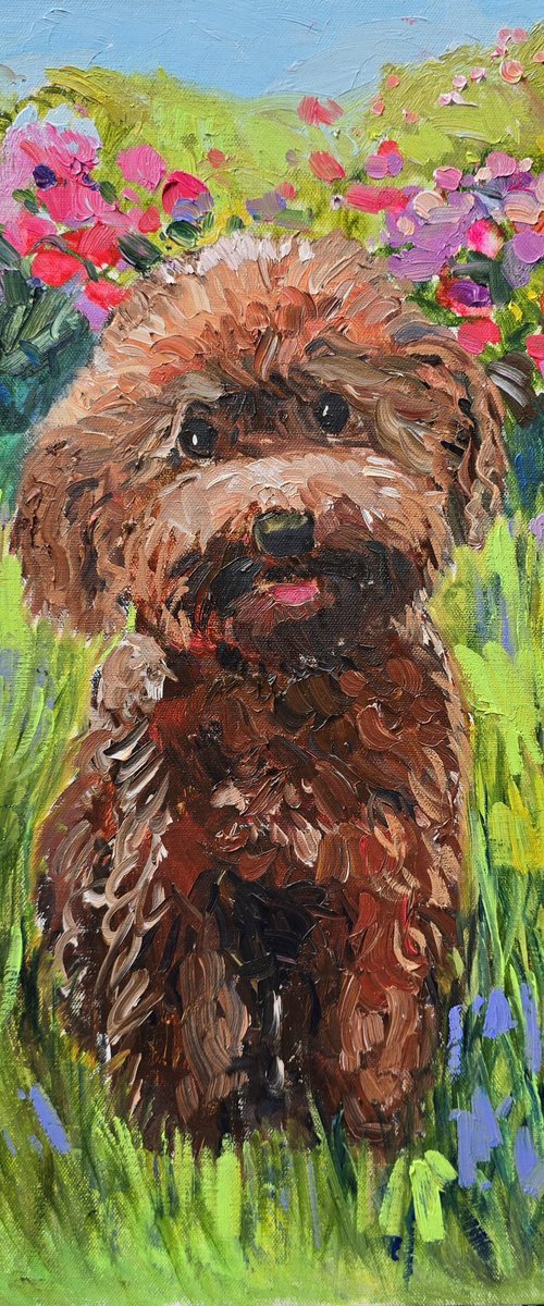 Sunny Buddy by Gulshaba Abbasova