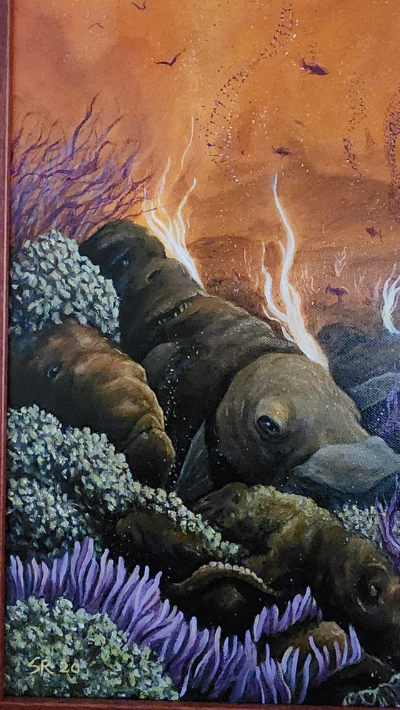 Extinction of the Platypus